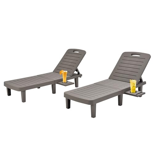 Ajikgn Graue 2-teilige Kunststoff-Lounge mit verstellbarer Rückenlehne, einziehbarer Getränkehalter, Outdoor-Chaise, Grau
