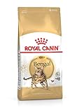 Royal Canin FBN Bengal Adult - Dry cat Food - 10kg
