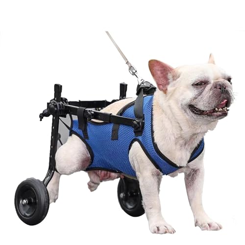 QMZDXH Hunde Wagen Rollstuhl, Hunderollstuhl, Hund Rollstuhl, Einstellbare Gehhilfe, Hundehund Rollstuhl Hinterbein Rehabilitation Für Hunde, Katzen und Kaninchen XS