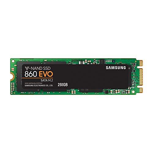 250GB Samsung 860 EVO M.2 SATA III SSD
