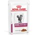Royal Canin Vet Diet Renal Frischebeutel 12 x 85 g Beef Katze