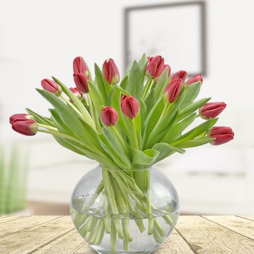20 frische rote Tulpen - Frühlingsblumen - Inklusive Grußkarte # Blumen # Frühling