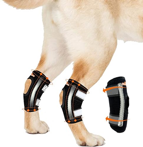 NeoAlly Super Supportive Dog Braces for Rear Legs and Hock Joints with Dual Metal Spring Strips Stabilize Canine hind Legs from Wound Injury Sprains Arthritis (Large Pair)