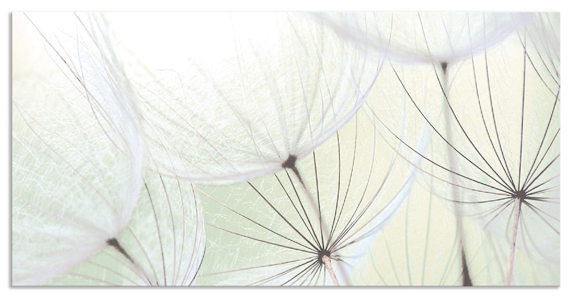 ARTland Spritzschutz Küche aus Alu für Herd Spüle 120x60 cm (BxH) Küchenrückwand mit Motiv Blume Pusteblume Landschaft Natur Zen Modern Hell Grün S9MV