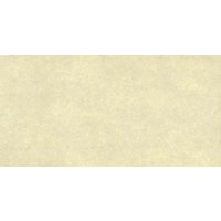 Bodenfliese Feinsteinzeug Absolute 31 x 62 cm beige