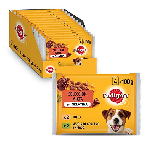 PEDIGREE Pouch Chicken & Lamb in Jelly - Wet Food for Adult Dogs - 13 multipacks of 4x100g Bags