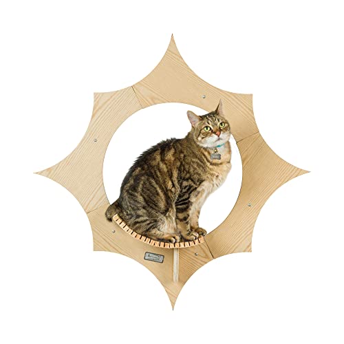 Armarkat Katzen-Wandregal in Sonnenform, Moderne Wandmontage, Klettermöbel