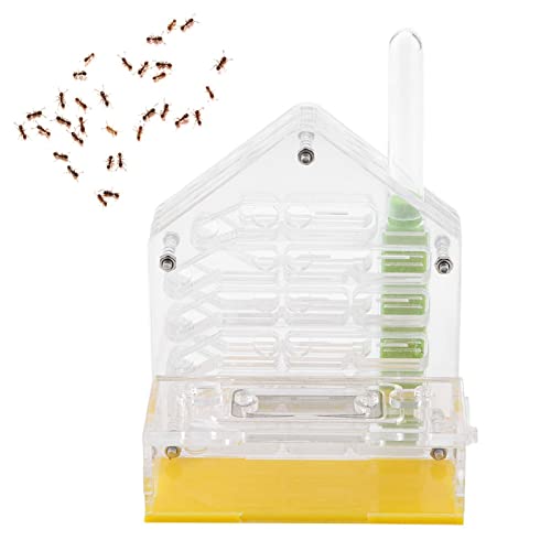 Tnfeeon Ant Farm, Ant Habitat Beobachten Sie Live Ants Nature Learning Toy