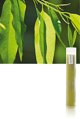 BETEC Aroma Sense Vitamin C-Gelfilter Eukalyptus für Duschkopf Aroma Sense SPA Max + SPA Perfect