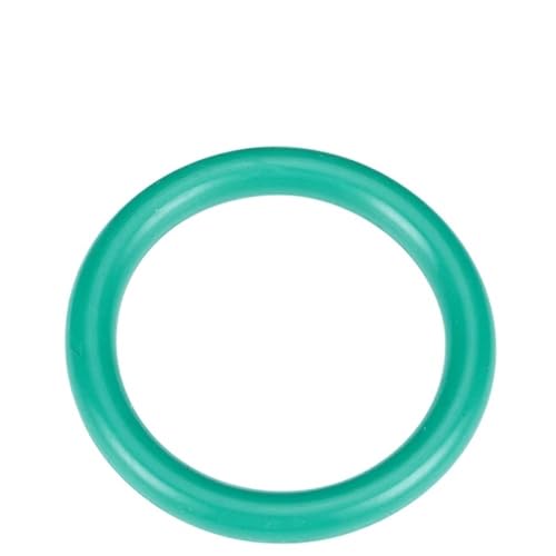 Fluorkautschuk-O-Ring FKM-Dichtung CS 6 mm Außendurchmesser 30 mm–650 mm Fluor-Sauerstoff-O-Ring-Dichtungsring, korrosionsbeständige Dichtung, hitzebeständig (Color : CS 6mm (1pcs), Size : OD 290mm