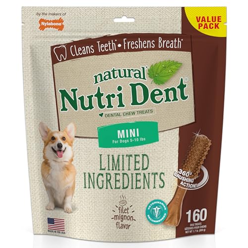 Nylabone Nutri Dent Limited Zutat Dental Dog Chews - Mini Size - Filet Mignon oder Fresh Breath Aromen, 160 Ct, Filet Mignon
