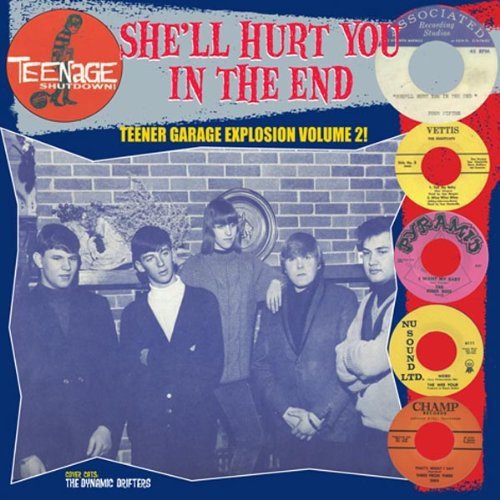 She'Ll Hurt You in the End [Vinyl LP]