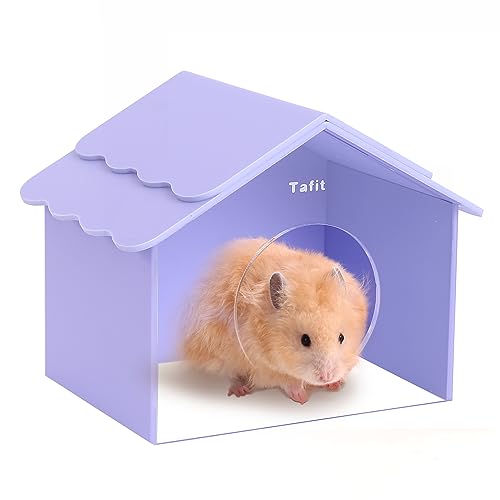Tafit Hamster-Versteck für kleine Tiere, Haushütte, kleine Haustiere, Erkundung von Spielzeug, Kammer-Lebensräume, Dekoration für Zwerghamster, syrische Hamster, Rennmäuse, Igel, Lemmings, Violett