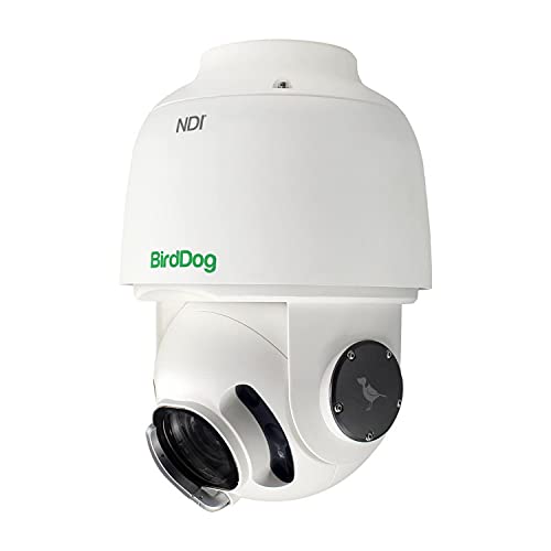 BirdDog Eyes A200 PTZ Kamera in Weiß Gen 2 IP67 Wetterbeständig Full NDI