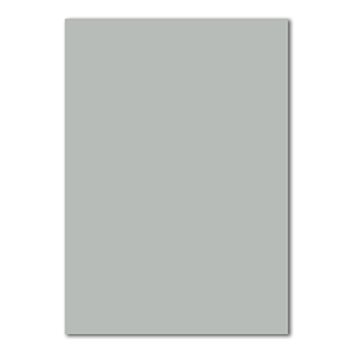 400 DIN A4 Papierbogen Planobogen - Hellgrau (Grau) - 160 g/m² - 21 x 29,7 cm - Bastelbogen Ton-Papier Fotokarton Bastel-Papier Ton-Karton - FarbenFroh