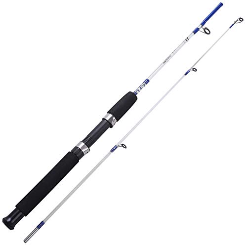 4 Farbe 120cm Spinning Hand Lure Fishing Rod Eva Ultraklight Griff. ABS Harzkörper Reisebootstange DaJiKan (Color : Sky Blue)