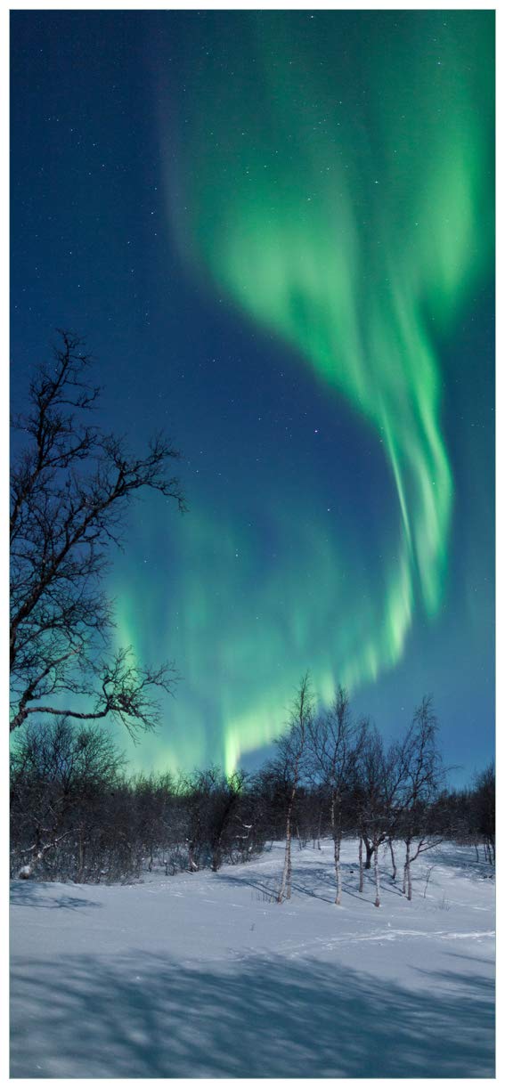 Wallario Selbstklebende Türtapete Polarlicht in Schweden - Türposter 93 x 205 cm Abwischbar, rückstandsfrei zu entfernen