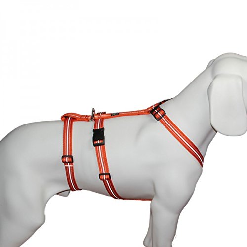 Das Original - NoExit Hundegeschirr ® - 100 % ausbruchsicher für Angsthunde, Sicherheitsgeschirr für Pflegehunde, Panikgeschirr, Reflexband orange, Bauchumfang 50-65 cm, 20 mm Bandbreite