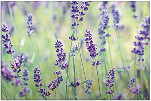 Wallario Garten-Poster Outdoor-Poster - Lila Blumenfreude - Violette Pflanzen auf der Wiese in Premiumqualität, Größe: 61 x 91,5 cm, für den Außeneinsatz geeignet