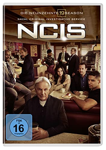 Navy CIS - Season 19 [5 DVDs]