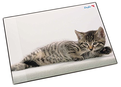 Läufer 46592 Schreibtischunterlage Katze grau, 53x40 cm, rutschfeste Schreibunterlage für Kinder, mit transparenter Seitentasche