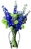 LSA International 35 cm Blume Grand Bouquet Vase, transparent