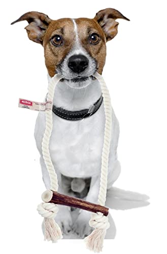 4DOGS Hundeseilspielzeug für die Zahnreinigung von Hunden in Kombination mit natürlichem Hundekaugeweih, dies ist 100 % natürliches, glutenfreies, gentechnikfreies Hundespielzeug – 1 Stück Haken – XXL Plus