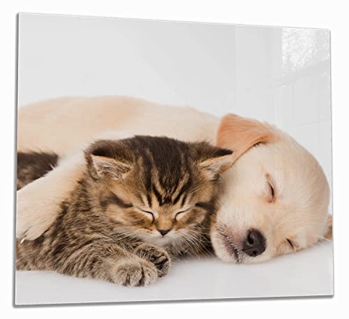 Wallario Herdabdeckplatte/Spritzschutz aus Glas, 1-teilig, 60x52cm, für Ceran- und Induktionsherde, Katze und Hund in Harmonie - Kuschelnde Tiere