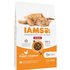 IAMS Advanced Nutrition Indoor Cat mit Huhn - 10 kg