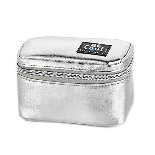 Kleines Kühlmäppchen Kühltasche für Kosmetik, Medizin, Reisen, Ausflüge in Silber 14 x 8 x 8 cm, ca 0,5 L Volumen