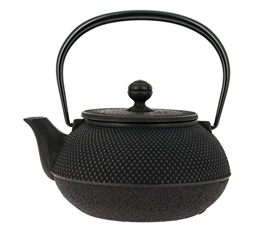 Iwachu Japanische Gusseisen Teekanne mit Filter und Traditionelles Design 900 ml schwarz