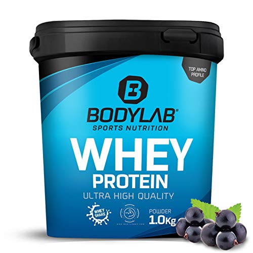 Protein-Pulver Bodylab24 Whey Protein Blaubeere 1kg, Protein-Shake für die Fitness, Whey-Pulver kann den Muskelaufbau unterstützen, Hochwertiges Eiweiss-Pulver mit 80% Eiweiß, Aspartamfrei
