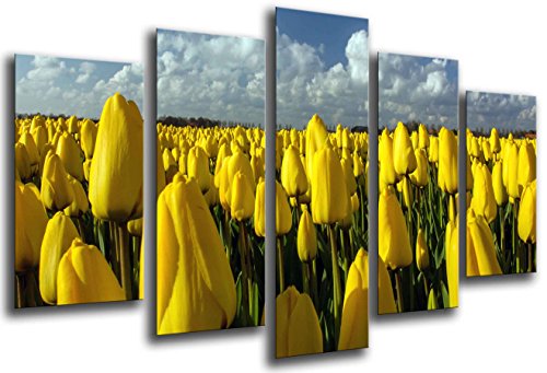 Wandbild - Feld gelbe Tulpen, 165 x 62 cm, Holzdruck - XXL Format - Kunstdruck, ref.26322