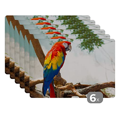 Placemats Platzdeckchen Platzset Tischset 6-teilig Tischdeko Untersetzer 45x30 cm Papagei - Vogel - Regenbogen - Tropisch