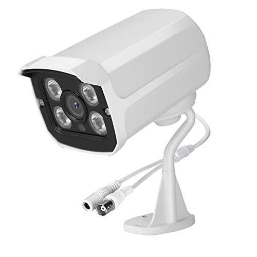 1080P AHD Überwachungskamera HD 2.0MP Außenüberwachung AHD/CVI/TVI/CVBS CCTV Kugelkamera mit IR Nachtsichtgerät IP66 Wetterfester IR-Schnittrauschunterdrückung