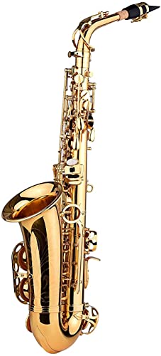 E-Alt-Saxophon EB-Klappe Messing Goldlack mit Hartschalenetui Reinigungsbürste Reinigungstuch Aufziehzubehör