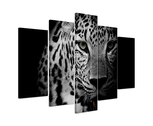 Bild Bilder 5 teilig gesamt 150x100cm Tierbilder – Porträt eines Leoparden schwarz weiß