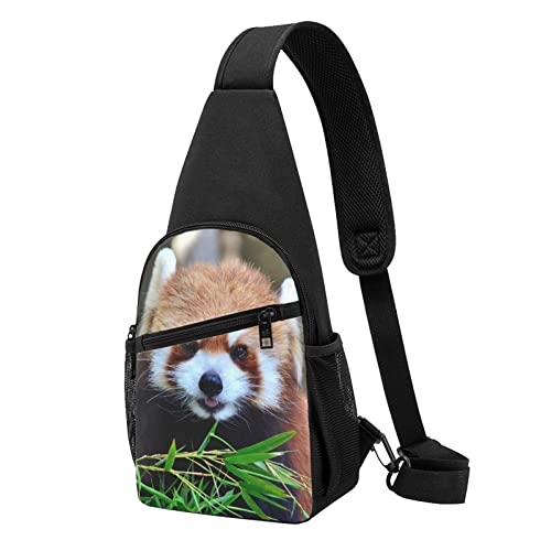 Brusttasche mit rotem Pandas-Motiv, bedruckt, für Reisen, Wandern, Tagesrucksack, Schwarz , Einheitsgröße
