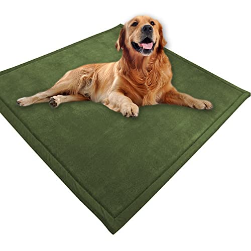 Großes Hundebett, Haustiermatte, weicher warmer Korallensamt, rutschfester Teppich, beruhigend, für den Innenbereich, waschbar, Hundekissen, Bodenmatte (150 x 120 cm, Dunkelgrün)