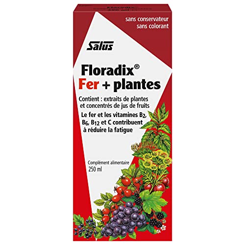 Floradix Elixir 250Ml