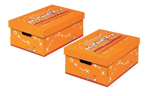 NIPS 119271350 CHAMPION Aufbewahrungsbox mit Deckel, B 32,0 x T 45,5 x H 19,0 cm, 2er Packung, mehrfarbig