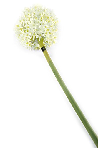 Closer 2 Nature F085WL Floral Elegance, Lauchblume, 89 cm, Einzelblume, weiß