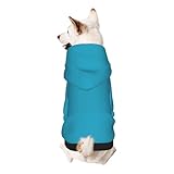 Froon Sea Cyan Haustierbekleidung – Kapuzen-Sweatshirt für kleine Haustiere, bezaubernde und warme Haustierkleidung, für Ihr Haustier