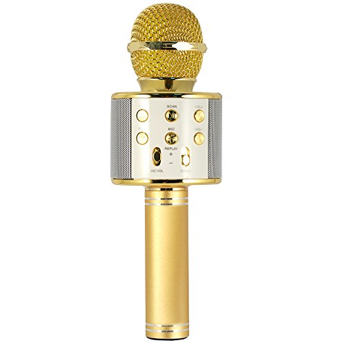 Xtreme 27837 K Mikrofon Lautsprecher mit eingebauter Bluetooth Notebook, Gold