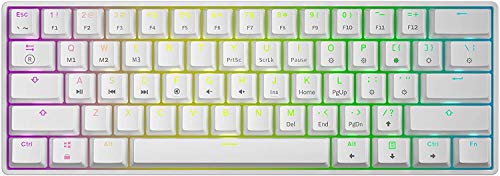 Heywood SK61 60% Mini Hot Swapable Tastatur, Kabelgebundene mechanische Gaming Tastatur, Gateron Optische Schalter, N-Key Rollover für Windows/Mac (Gateron Optical Red, Pure White)