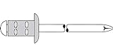 Gesipa Blindniete PolyGrip 500 Stück (Alu/Nirosta 4,8x10, Nietschaft-ø 4,8 mm, Scherkraft 1500 N, Zugkraft 2300 N, Flachrundkopf) 1433892