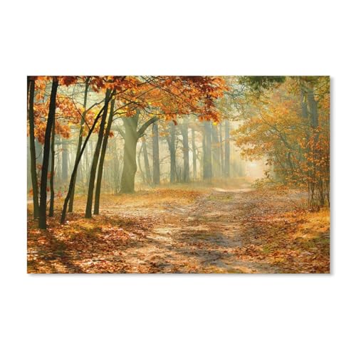 klassisches Puzzle 1000 Stück，Herbstwald, Bäume, rote Blätter, Sonnenstrahlen，Einzigartige Heimdekorationen Und Geschenke（75x50cm）-A169