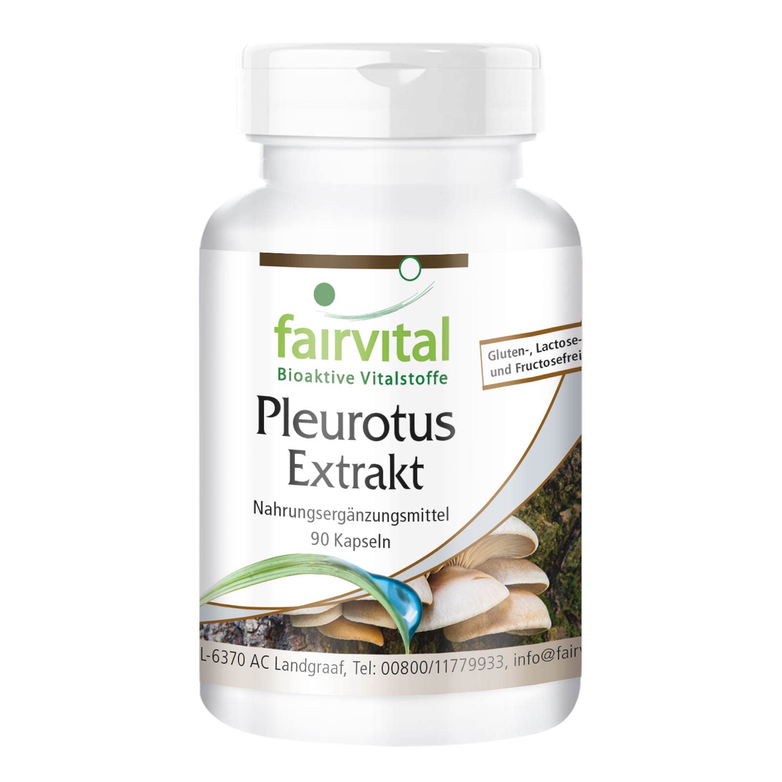 Fairvital | Pleurotus Extrakt 500mg - HOCHDOSIERT - Pleurotus ostreatus (Austernseitling) - 30% Polysaccharide - VEGAN - 90 Kapseln
