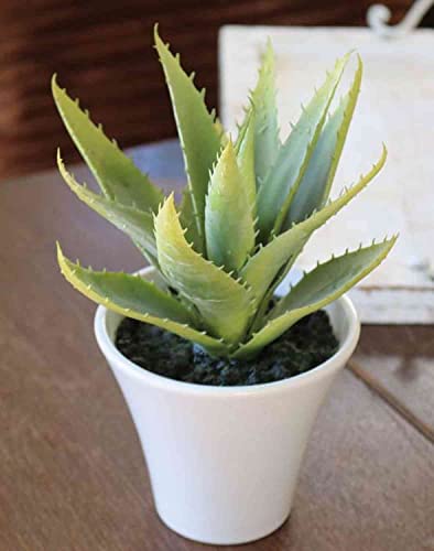 artplants.de Künstliche Aloe Vera Rosalina im Keramiktopf, grün, 21cm - Kunst Aloe