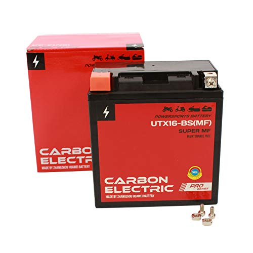 Carbon Electric Gel Batterie Motorradbatterie (14Ah YTX16-BS_MF)